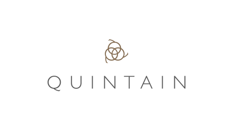 Quintain logo